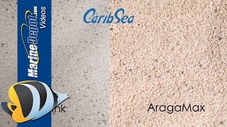 Aquarium Sand Deep Sand Bed or Shallow Coarse or Fine Find Out [upl. by Nerdna458]