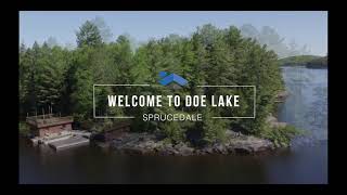 Doe Lake Sprucedale  Aerial Video [upl. by Schnabel]