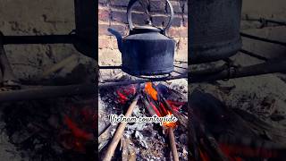 Wood Stove Cooking A Rustic Experience food vietnamesefood yummy countryside farming viral [upl. by Morty]