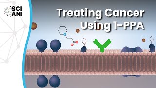 How does a new cancer therapy work [upl. by Zingale]