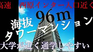 プレサンスロジェ宜野湾我如古ヴォールタワー [upl. by Atig]