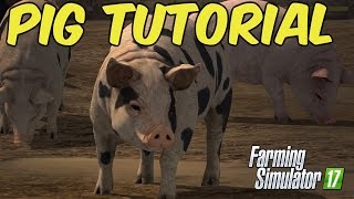 Farming Simulator 17  Pig Tutorial [upl. by Sivia]