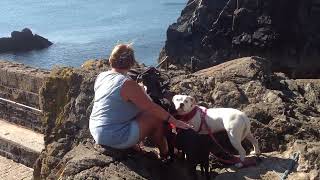 Mullion Cove Cornwall 02102015 [upl. by Sherborn]