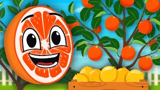 Learn ALL About Citrus Trees  Fruit Songs For Kids  KLT [upl. by Yentyrb]