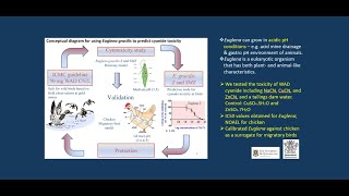 Exploring and understanding the toxicity of inorganic and organic contaminants [upl. by Binnings]