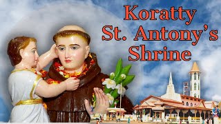 0630 pm  HOLY MASS  SUNDAY  26th NOVEMBER 2023  STANTONY S SHRINE KORATTY [upl. by Alikam]