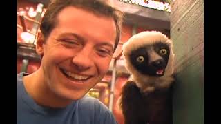 Zoboomafoo Funny Faces [upl. by Nhguav]