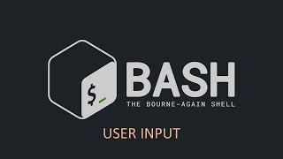 4Bash Scripting  User input and Default Value [upl. by Ferne758]