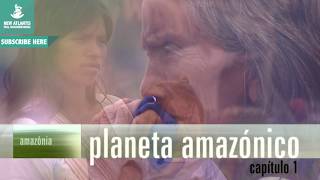 Planeta amazónico  ¡Ahora en Alta Calidad Documental Completo [upl. by Enaz]