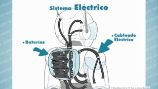 GRUPO EDUCARE COMPONENTES DE UN ROBOT [upl. by Bonaparte]