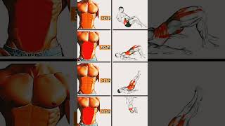 Abs workout gym for beginners shorts exercise [upl. by Ahsinor531]