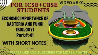 importance of bacteria and fungi l pathogen identification [upl. by Nothsa580]