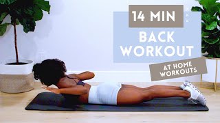 14 MINUTE BACK WORKOUT FOR STRONGER BACK  BETTER POSTURE  NO EQUIPMENT  BEGINNER  INTERMEDIATE [upl. by Talley95]