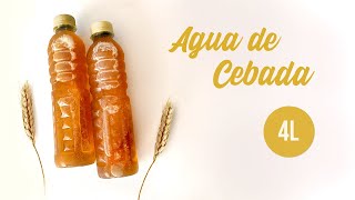 Agua  Refresco de cebada con linaza para negocio  Recetas Copy [upl. by Murray]