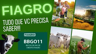 ANALISANDO O FIAGRO BBGO11 Os 10 Principais Indicadores para Investir em Fundos do Agronegócio [upl. by Oremodlab]