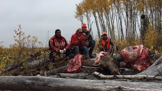 2017 Saskatchewan Moose Hunt [upl. by Stronski]