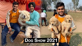 International dog show  Patiala dog show 2021 [upl. by Leon]