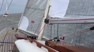 Requin Jeu de voiles Elvstrom Sails  Voiles en Baie [upl. by Ellesor349]