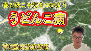 【作物の病気シリーズ】うどんこ病について徹底的に理解する【学術論文を元に解説】 [upl. by Ahsiram]