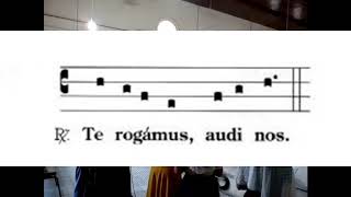 Dominum deprecermur  Coro Alma Redemptoris Mater [upl. by Nerdna16]