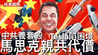 城寨國際： 免費東西最昂貴 中共扶助馬思克Tesla免息二百億貸款 上海廠令電車生意扭轉 直接協助中共建立電動車產業鏈 Tesla逐步失去大陸市場 股價大跌風光不再 親共代價開始浮現 [upl. by Ettenawtna]