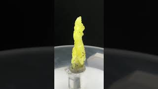 Rare 16 ct Brucite specimen from Balochistan Pakistan for 16 viral trending shortvideo [upl. by Anneuq]