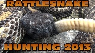 Pennsylvania Rattlesnake Hunting 2013 2 [upl. by Thamos198]