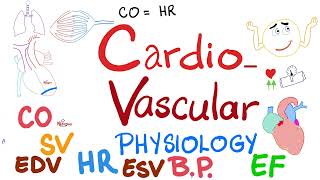 Cardiac Output Stroke Volume End systolic amp End diastolic volumes Ejection Fraction [upl. by Enimassej]