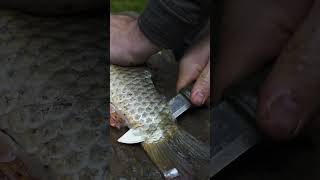 Fisch traditionell am Feuer zubereiten🔥 bushcraft [upl. by Donal]