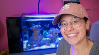 Buying New Coral On A Whim vlogmas [upl. by Notsag]