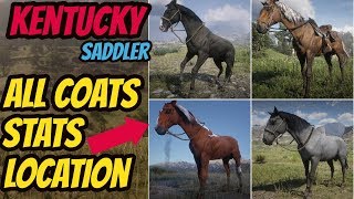 Red Dead Redemption 2 Kentucky Saddler LOCATION amp ALL COATS amp STATS GOOD HORSE GUIDE [upl. by Chuch]