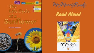 THE LIFE CYCLE OF A SUNFLOWER MyView Literacy First Grade Unit 2 Week 2 Read Aloud [upl. by Dnumsed]