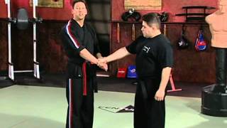 Scott Rogers Authentic Pressure Point  Volume 1 Fundamentals of Pressure Points Arms and Set Ups [upl. by Kinsman]