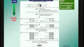 Techniques of Genetic Analysis Molecular Biology [upl. by Nevin361]