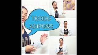 Tecido adiposo pardo multilocular e unilocular [upl. by Ahsaetan516]