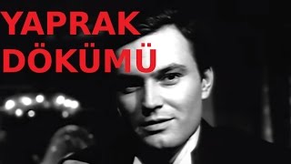 Yaprak Dökümü  Eski Türk Filmi Tek Parça [upl. by Retsek237]