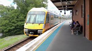 Wentworthville Trainspotting [upl. by Job]