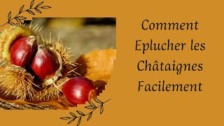 116  Comment éplucher les châtaignes facilement [upl. by Lyndy629]