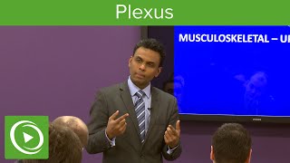 Plexus Structure amp Overview – MRCS  Lecturio [upl. by Akinhoj]