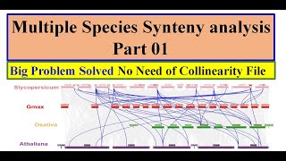 Multiple organisms Synteny analysis Part 1  Synteny analysis for more than two species [upl. by Allisan]