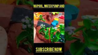 How to make swimming poolwater pump and garden short hmshamimahmad pump farming waterpumpnew [upl. by Gunzburg754]