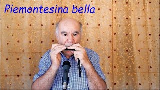 Piemontesina bella 1V Valzer Harmonica [upl. by Mathilde]