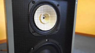 2Way Powered SpeakerBox with Fostex and Beyma Driver  Selfmade [upl. by Nosreme]