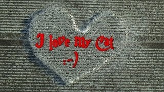 Ich liebe Dich  Ein Herz für meine Katze  I love you  A heart for my cat [upl. by Nylg663]