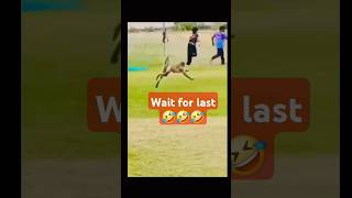 Monkey kick 🤣🤣 funnyshorts viraltiktok majedaarvideo [upl. by Dihaz]