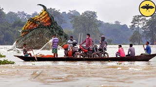 Monstruos de Río Prehistóricos que Afortunadamente Están Extintos [upl. by Skrap]