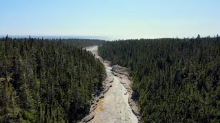 Quebecs Anticosti Island named UNESCO heritage site [upl. by Ellehc]