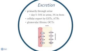 Oxaliplatin Toxicology Presentation  Samantha Kinley [upl. by Eiramenna788]