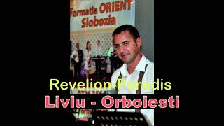 Colaj de petrecere hore etnoBea finu si cu NasuRevelion 2011 ParadisLiviu de la Orboiesti live [upl. by Helaine]