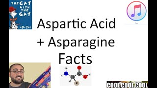 Some Quick Facts About Aspartic Acid and Asparagine [upl. by Enneirda141]